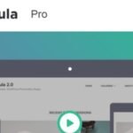Modula Pro Plugin Free Download 2.10.17