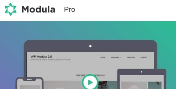Modula Pro Plugin Free Download 2.10.17